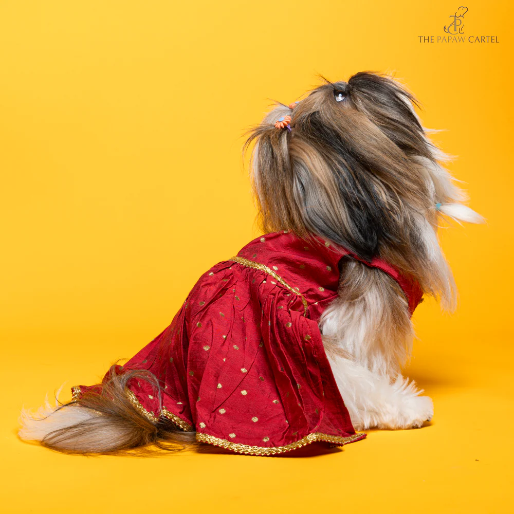 The Papaw Cartel Desi Girl in Banarasi Polka Dot Gown for Dogs (Red) - Image 4