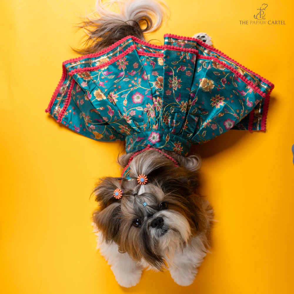 The Papaw Cartel Dil Rooba Floral Ghagra Choli for Dogs (Teal) - Image 4