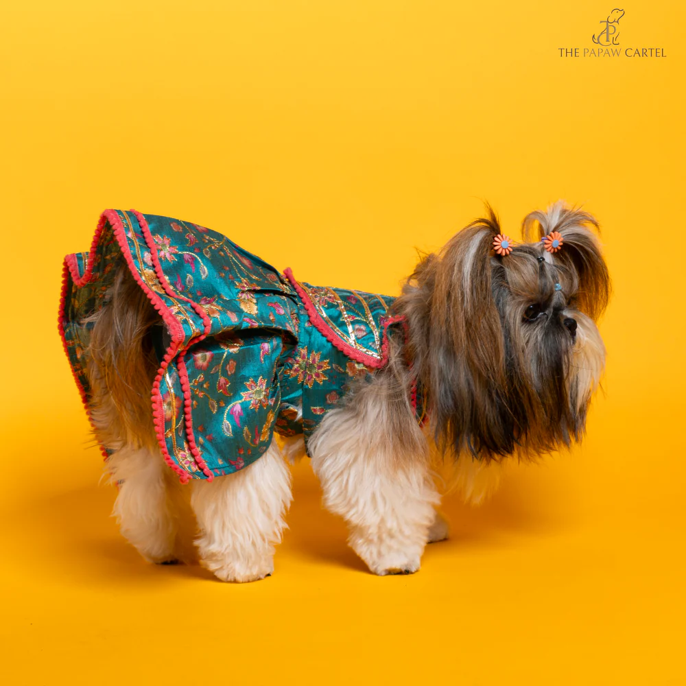 The Papaw Cartel Dil Rooba Floral Ghagra Choli for Dogs (Teal) - Image 5