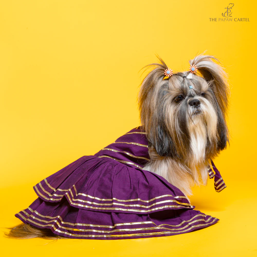 The Papaw Cartel Double Layered Gotapatti Ethnic Frock for Dogs (Purple) - Image 3