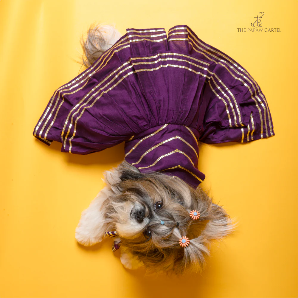 The Papaw Cartel Double Layered Gotapatti Ethnic Frock for Dogs (Purple) - Image 4
