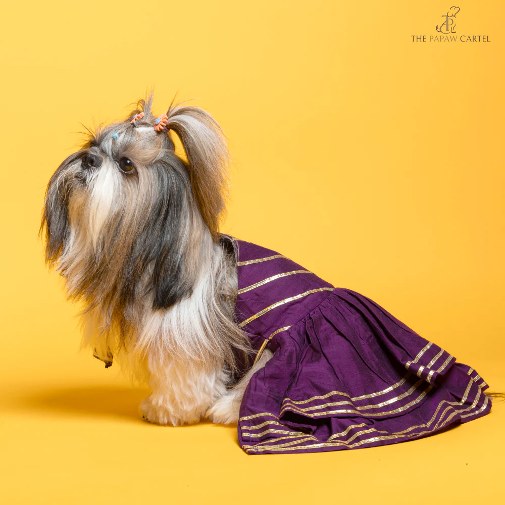 The Papaw Cartel Double Layered Gotapatti Ethnic Frock for Dogs (Purple) - Image 5