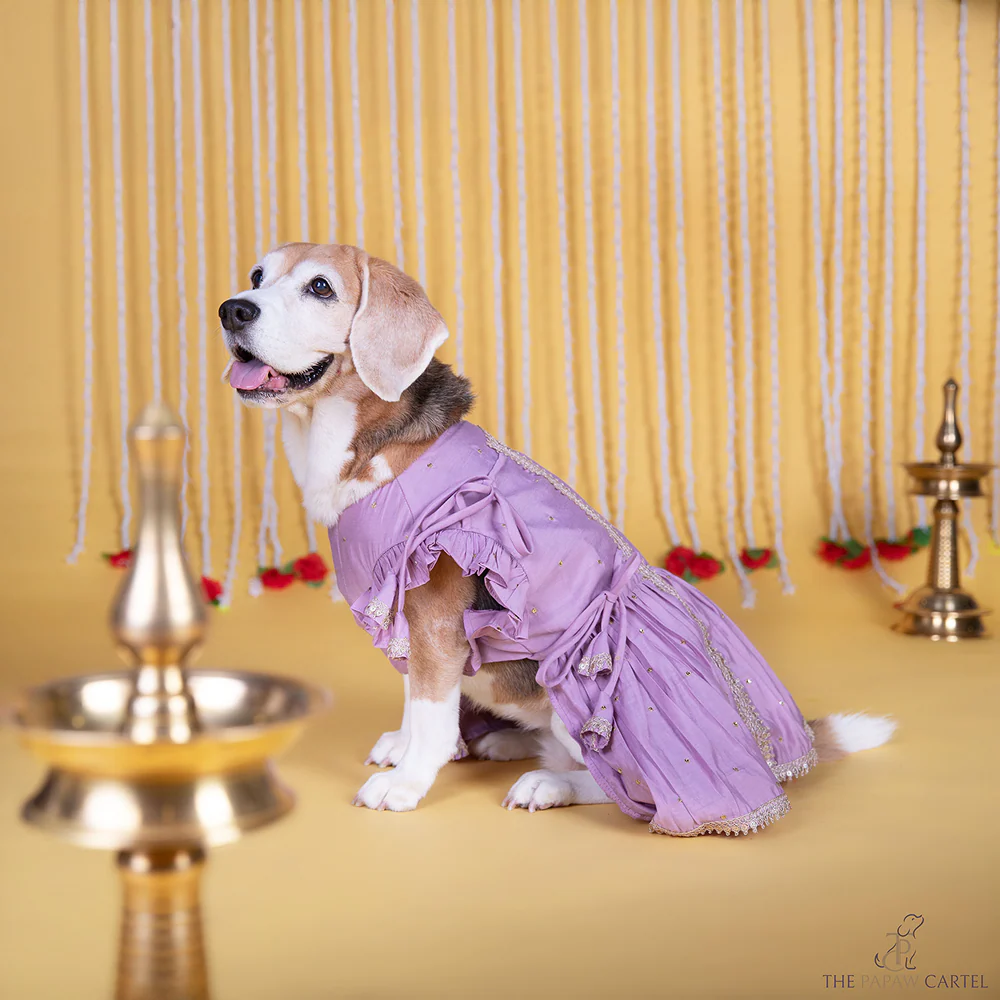 The Papaw Cartel Embroidered Indian Angarkha for Dogs & Cats (Lilac) - Image 3