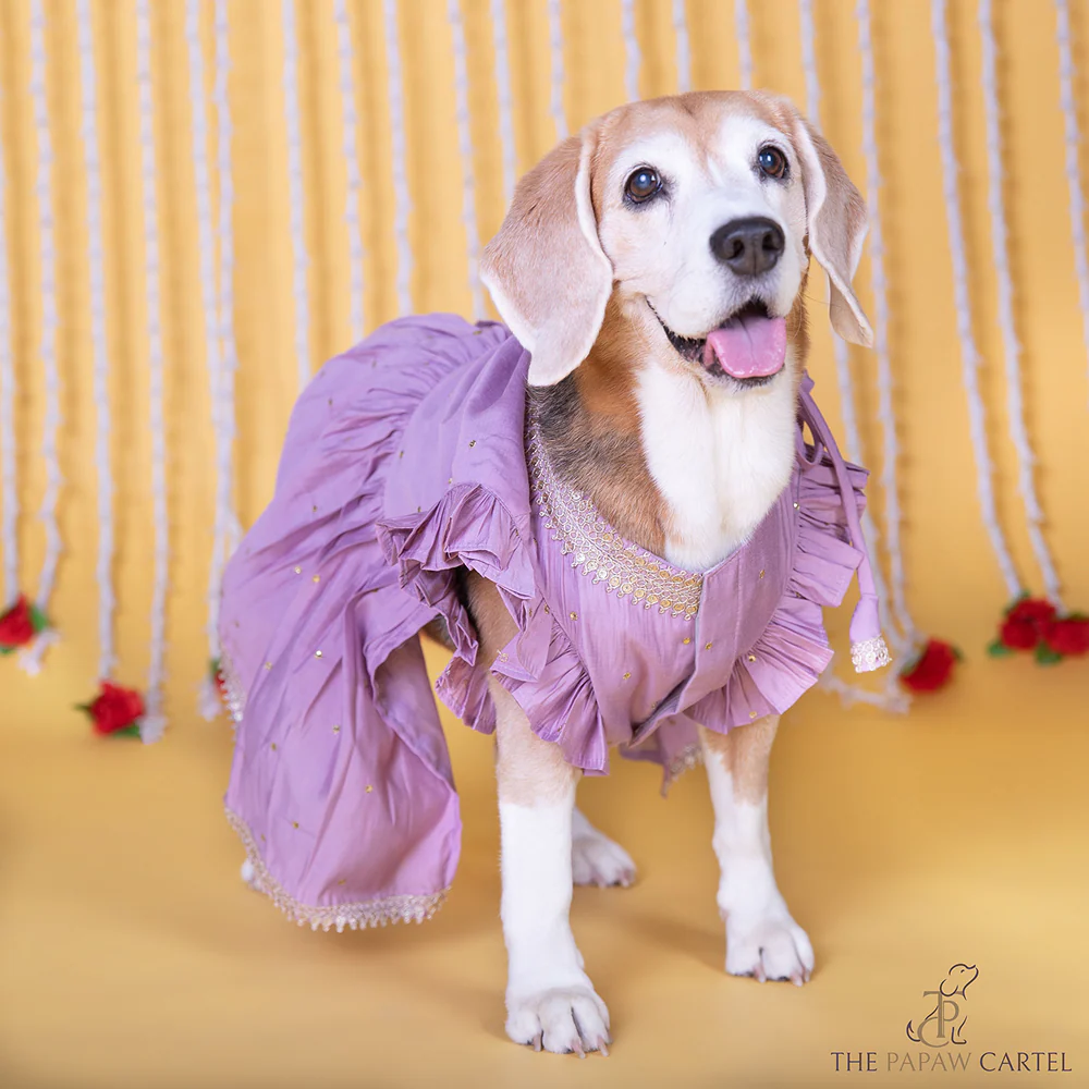 The Papaw Cartel Embroidered Indian Angarkha for Dogs & Cats (Lilac) - Image 4