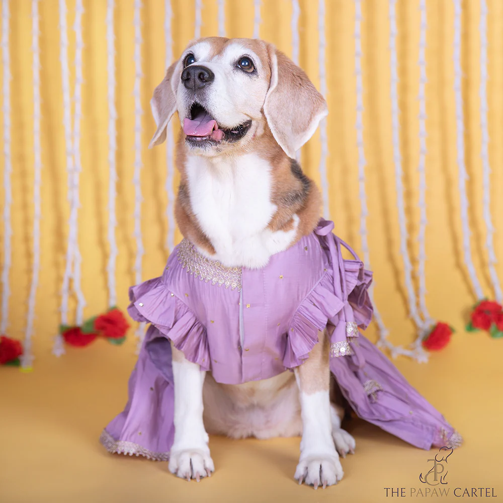 The Papaw Cartel Embroidered Indian Angarkha for Dogs & Cats (Lilac) - Image 5