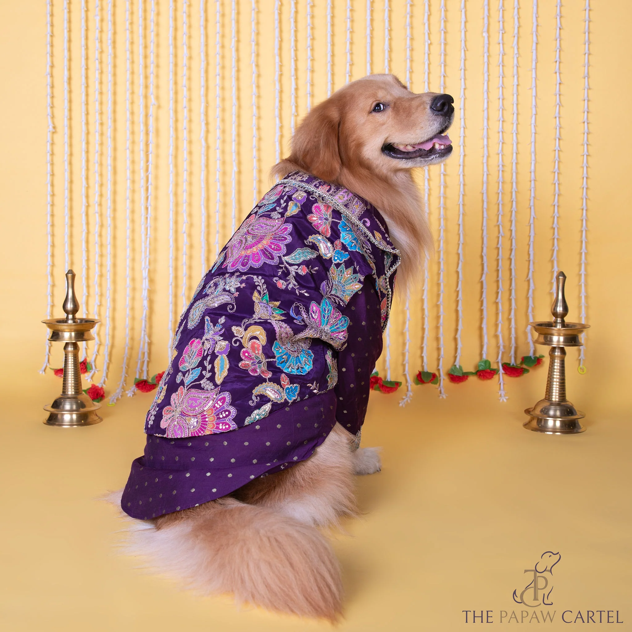 The Papaw Cartel Embroidered Motif Jacket Style Koti Kurta for Dogs & Cats (Purple Paisley) - Image 3