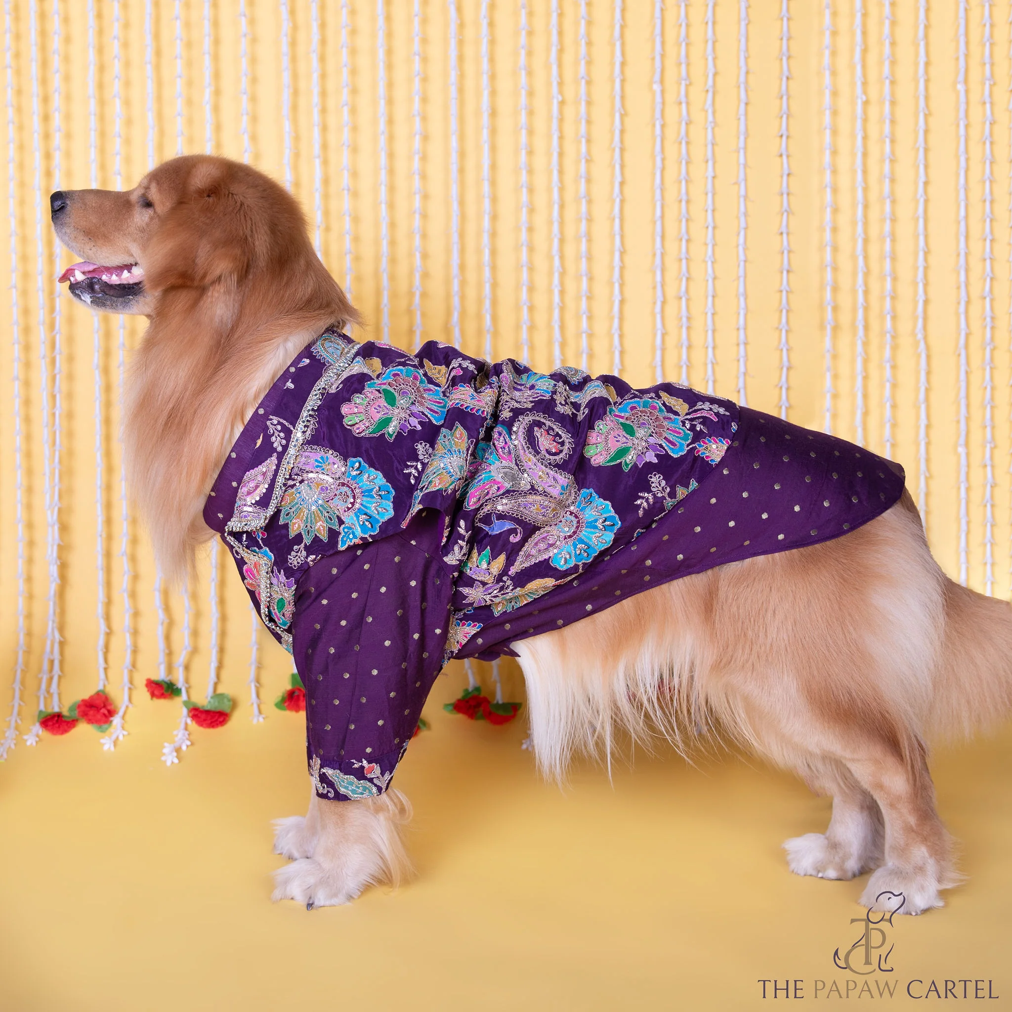 The Papaw Cartel Embroidered Motif Jacket Style Koti Kurta for Dogs & Cats (Purple Paisley) - Image 4