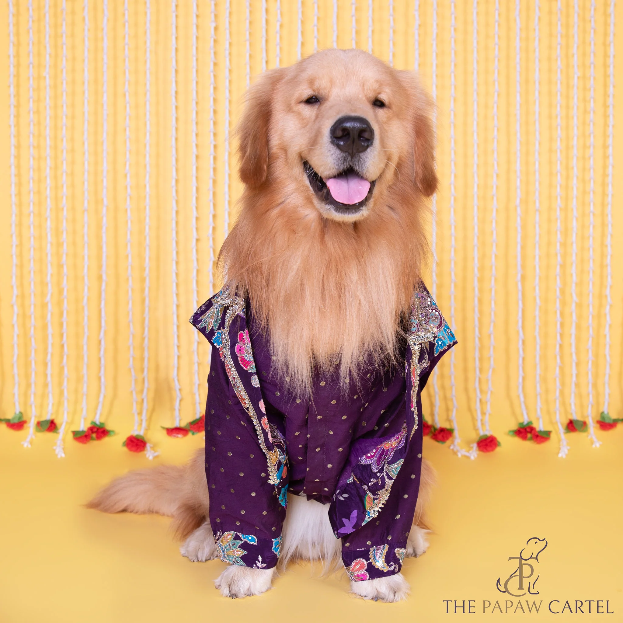 The Papaw Cartel Embroidered Motif Jacket Style Koti Kurta for Dogs & Cats (Purple Paisley) - Image 5