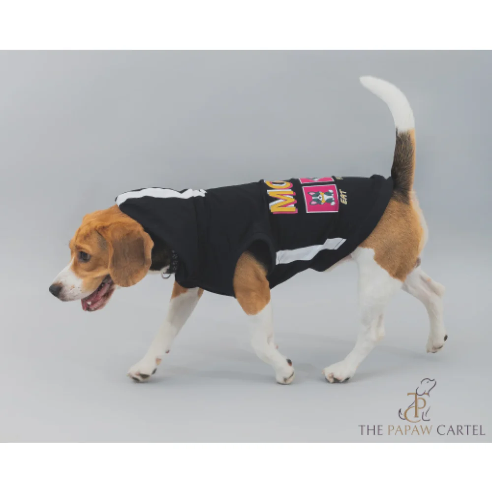 The Papaw Cartel Everyday Mood Hoodie Tshirt for Dogs (Black) - Image 3