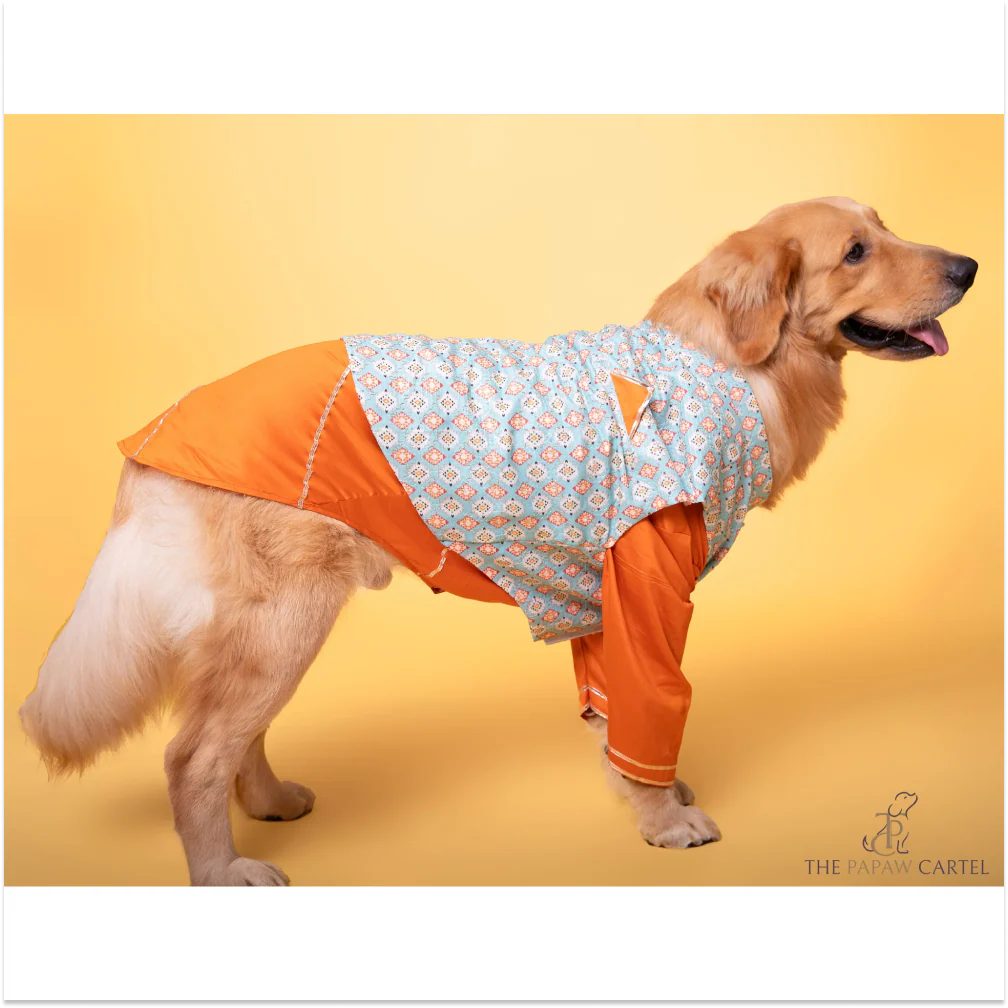 The Papaw Cartel Floral Aztec Koti With Kurta for Dogs (Mint Blue/Orange) - Image 4