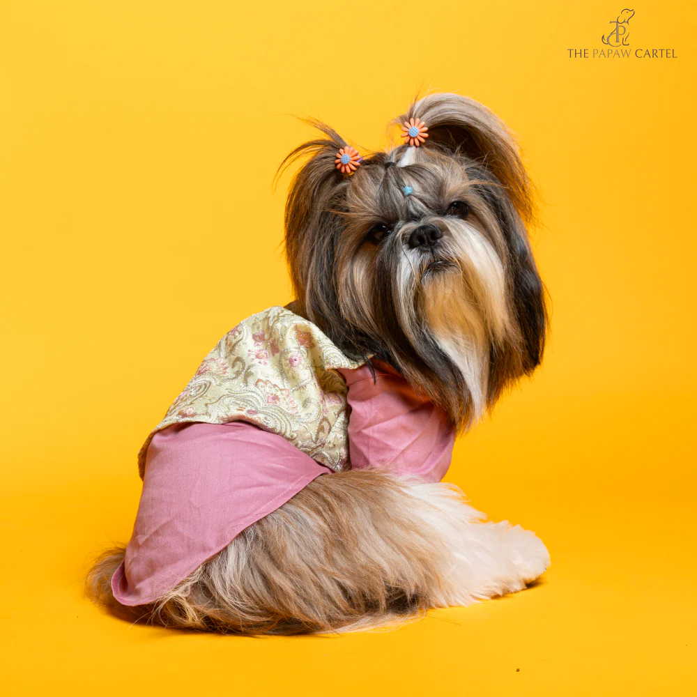 The Papaw Cartel Floral Embroidered Koti and Kurta set for Dogs (Pink) - Image 3