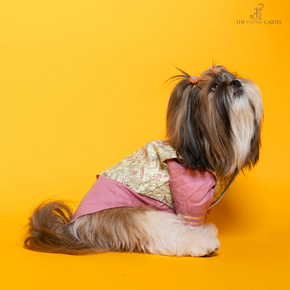 The Papaw Cartel Floral Embroidered Koti and Kurta set for Dogs (Pink) - Image 4
