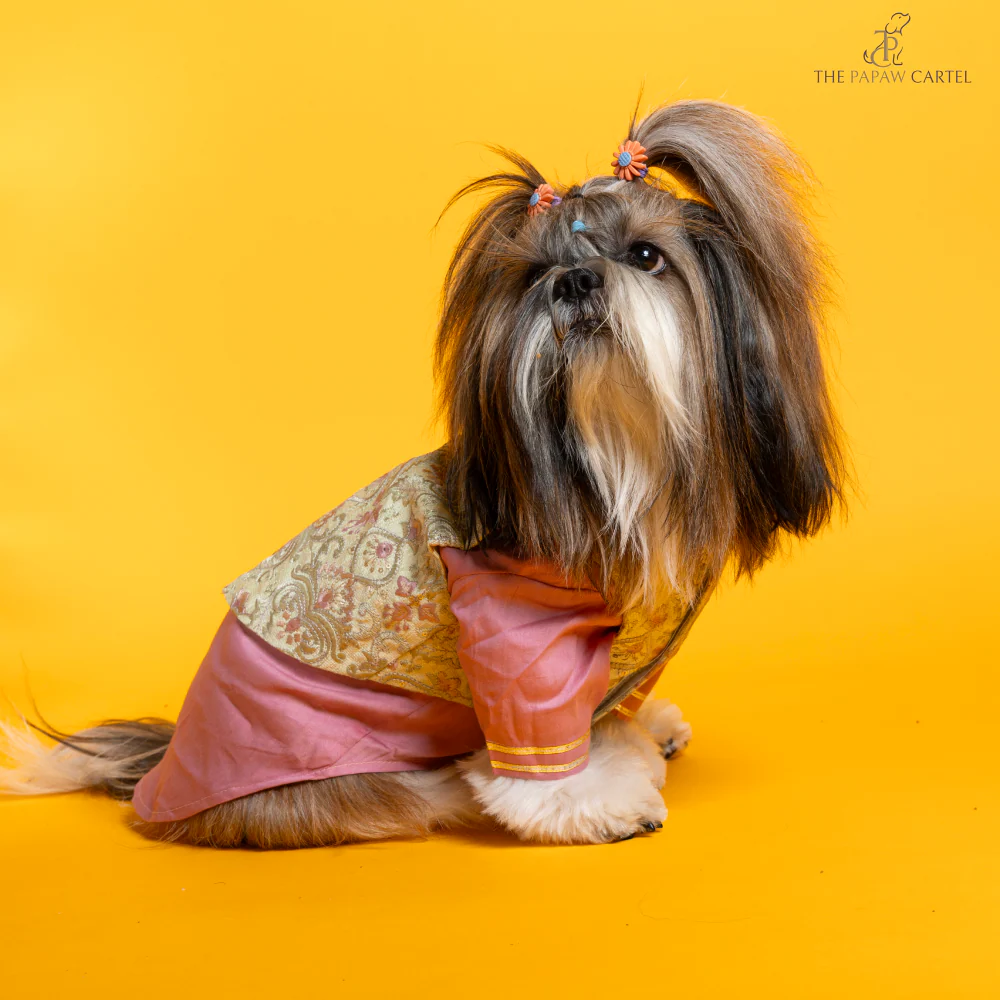 The Papaw Cartel Floral Embroidered Koti and Kurta set for Dogs (Pink) - Image 5