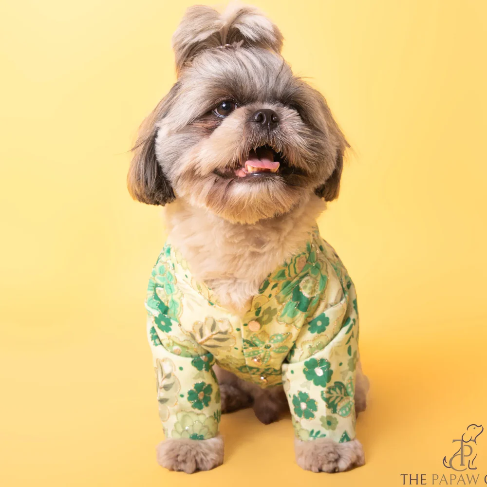 The Papaw Cartel Floral with Zari Sherwani for Dogs (Green) - Image 4