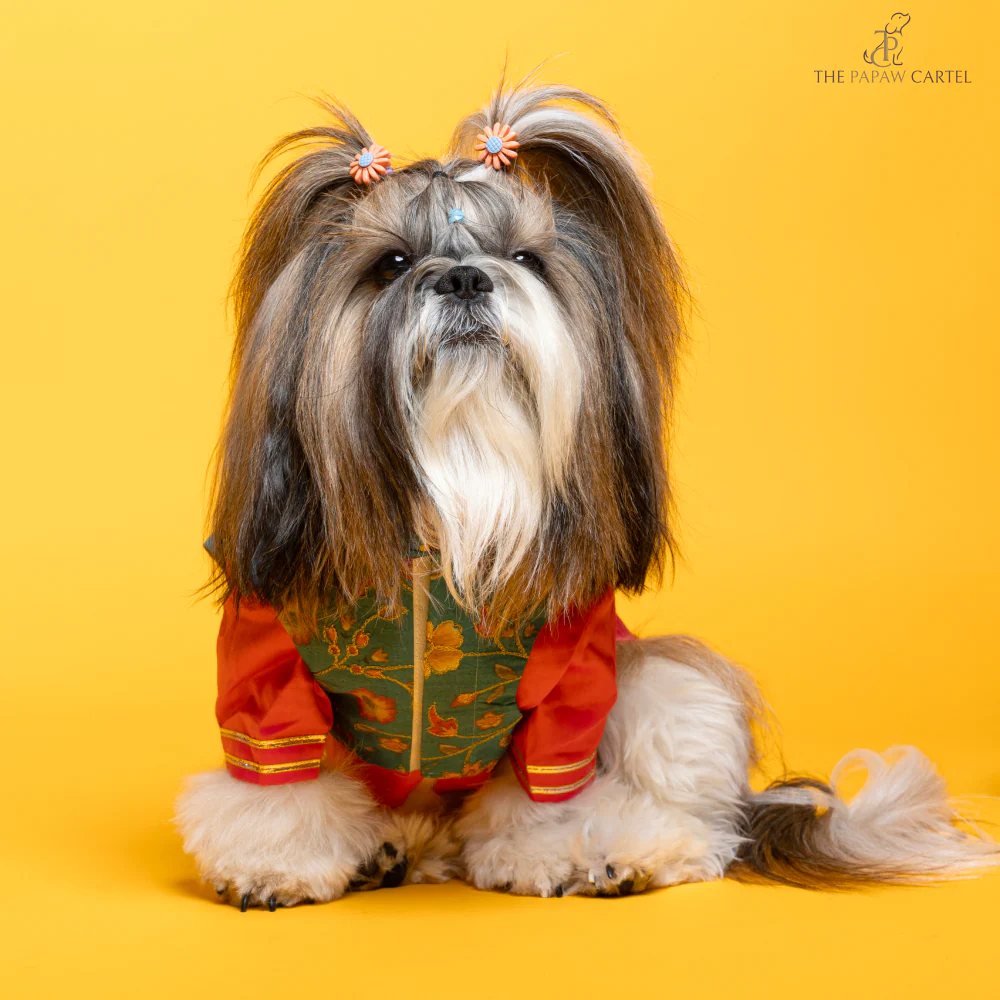 The Papaw Cartel Fuschia Kurta with Contrasting Floral Teal Koti for Dogs (Pink) - Image 3