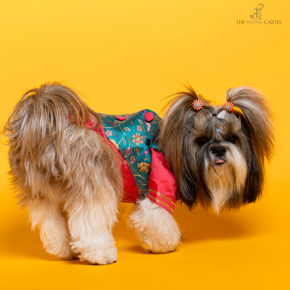 The Papaw Cartel Fuschia Kurta with Contrasting Floral Teal Koti for Dogs (Pink) - Image 4