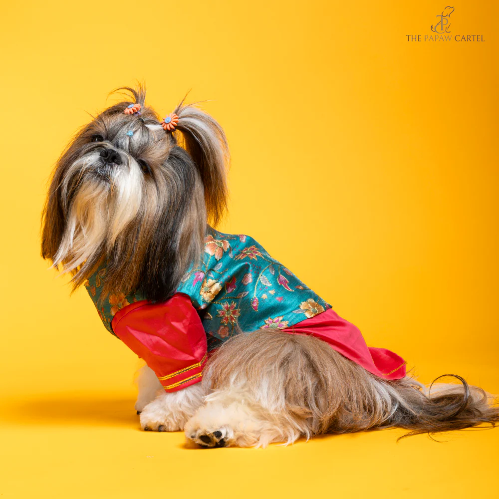 The Papaw Cartel Fuschia Kurta with Contrasting Floral Teal Koti for Dogs (Pink) - Image 5