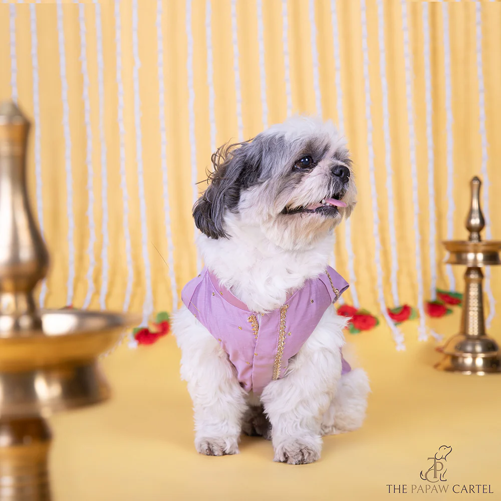 The Papaw Cartel Gota Patti Embroidered Sleeveless Sherwani for Dogs & Cats (Lilac) - Image 4