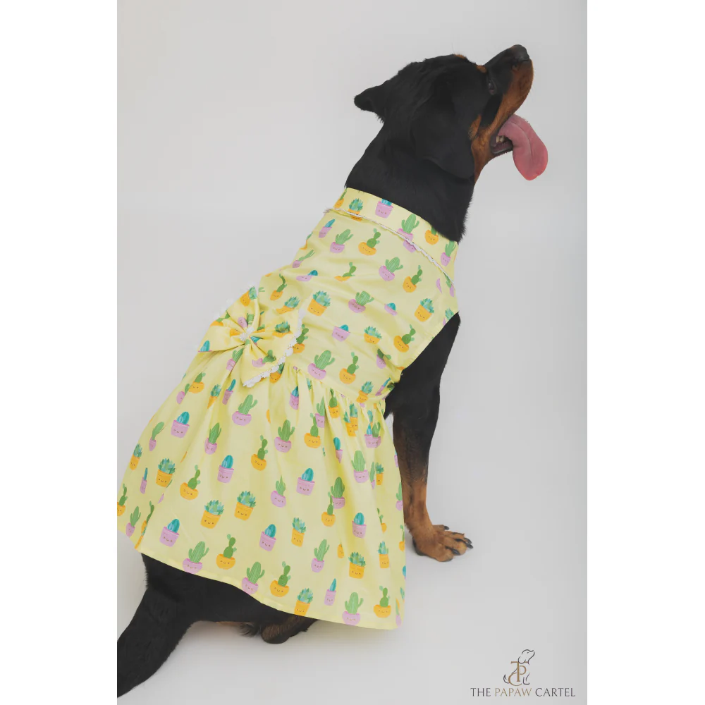 The Papaw Cartel Happy Cactus Dress for Dogs (Lime Yellow) - Image 4
