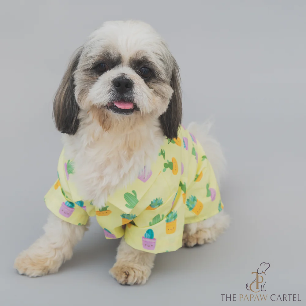The Papaw Cartel Happy Cactus Shirt for Dogs (Lime Yellow) - Image 2