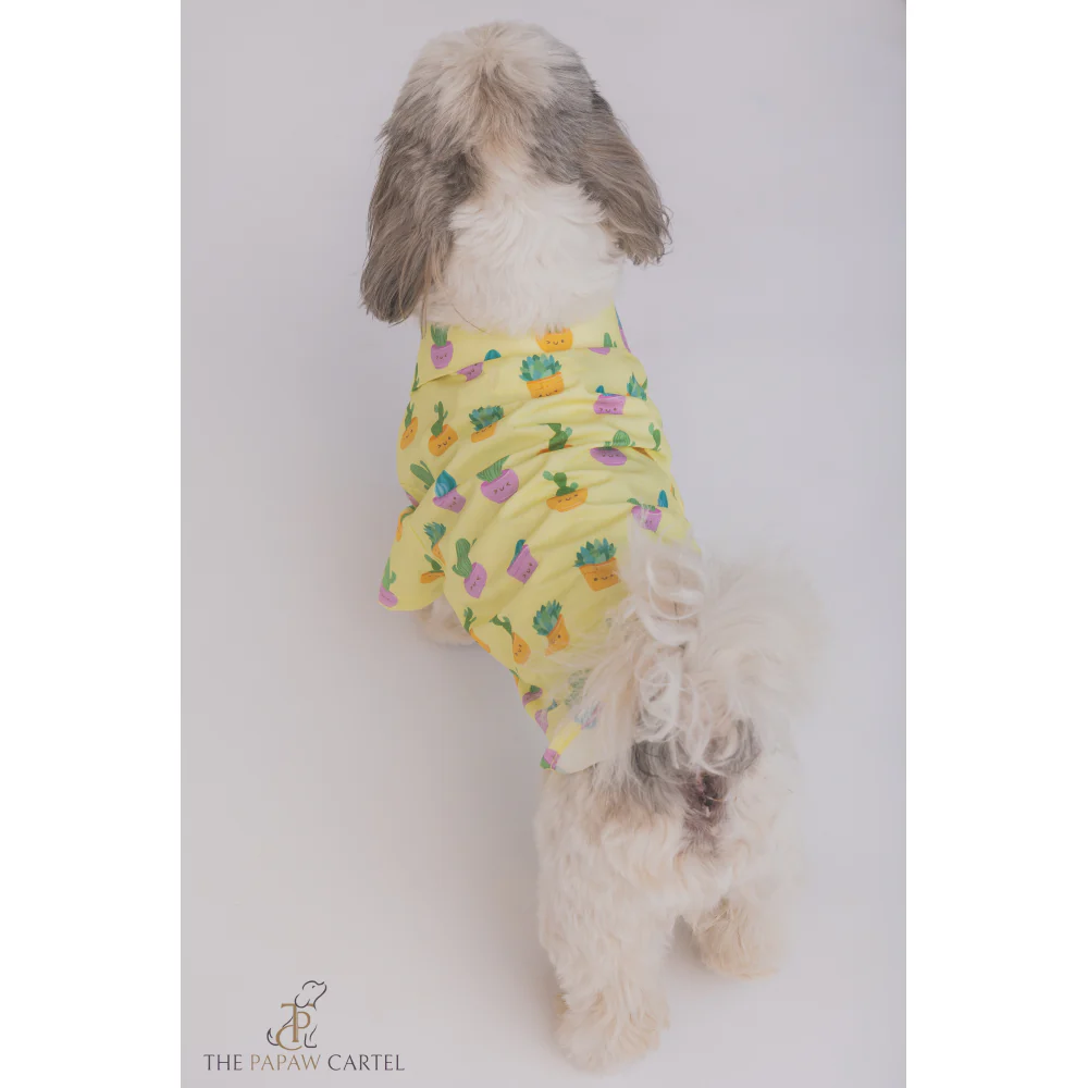 The Papaw Cartel Happy Cactus Shirt for Dogs (Lime Yellow) - Image 4