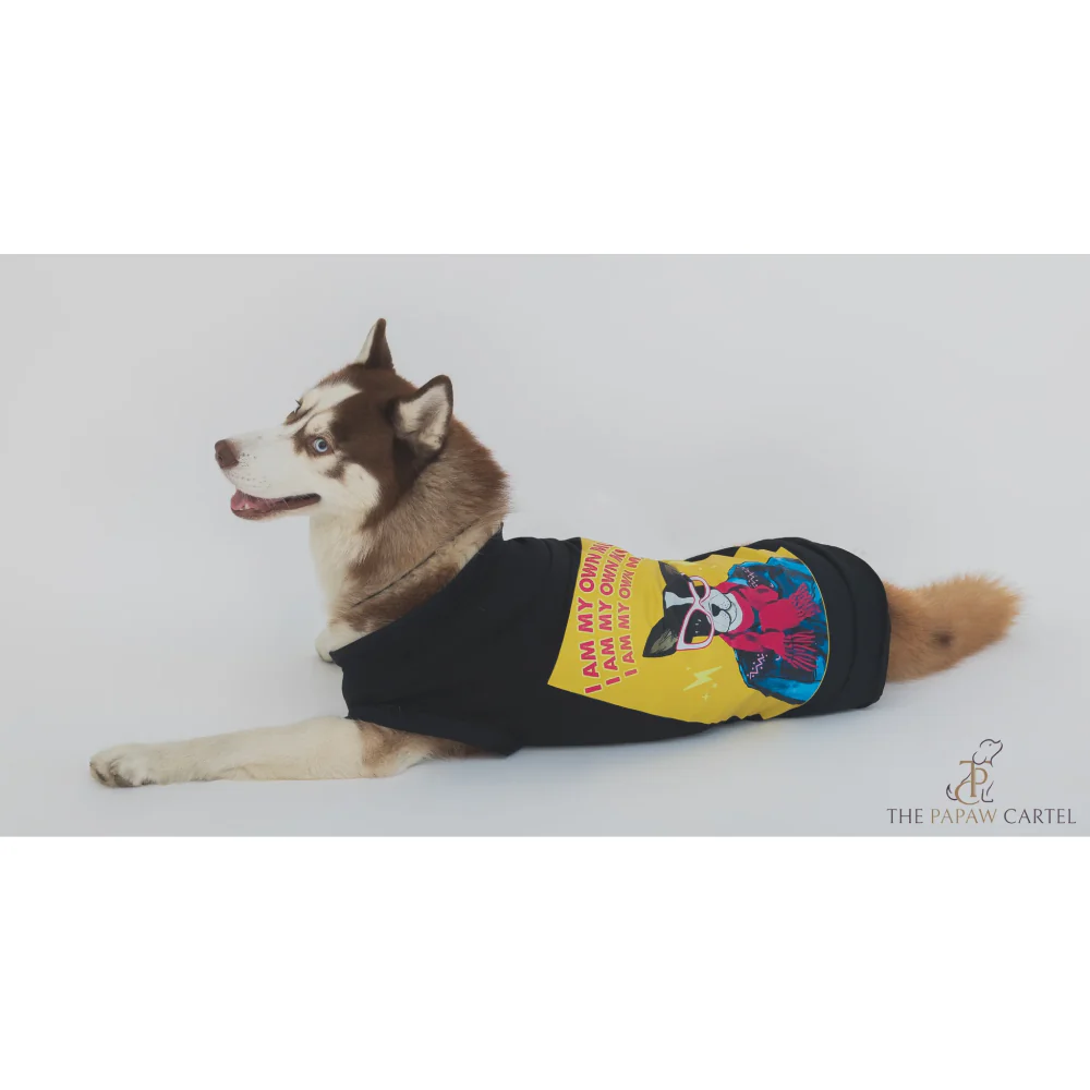 The Papaw Cartel I Am My Own Muse Poster Tshirt for Dogs (Black) - Image 2