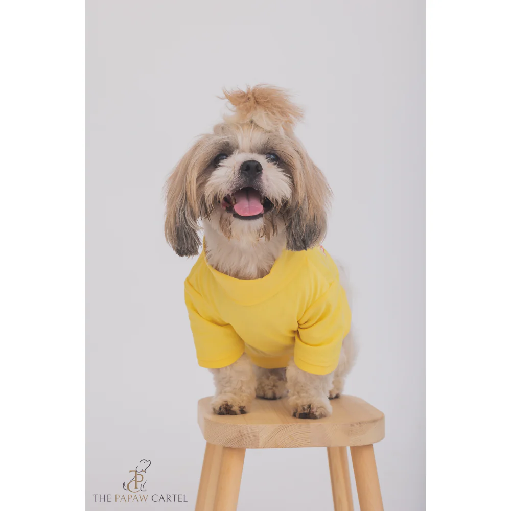 The Papaw Cartel I AM My Own Muse Turtle Neck Tshirt for Dogs (Yellow) - Image 4