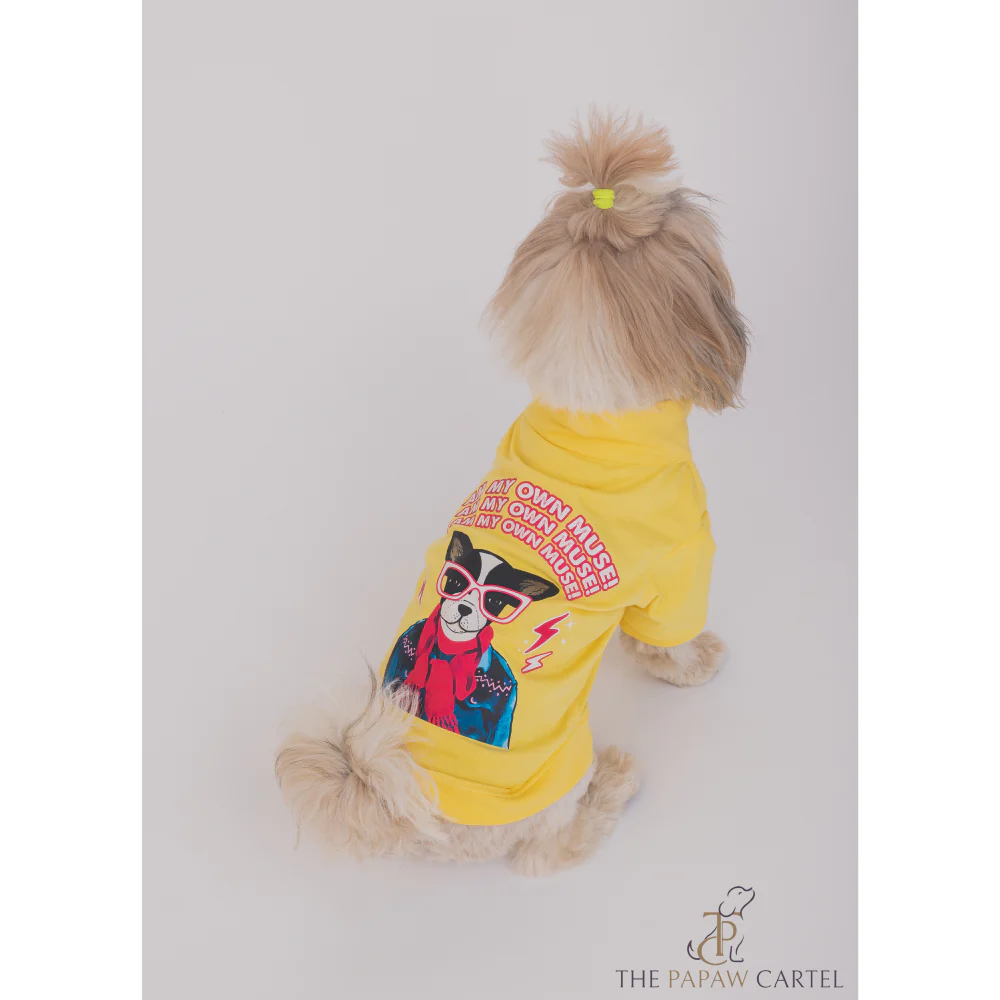 The Papaw Cartel I AM My Own Muse Turtle Neck Tshirt for Dogs (Yellow) - Image 5