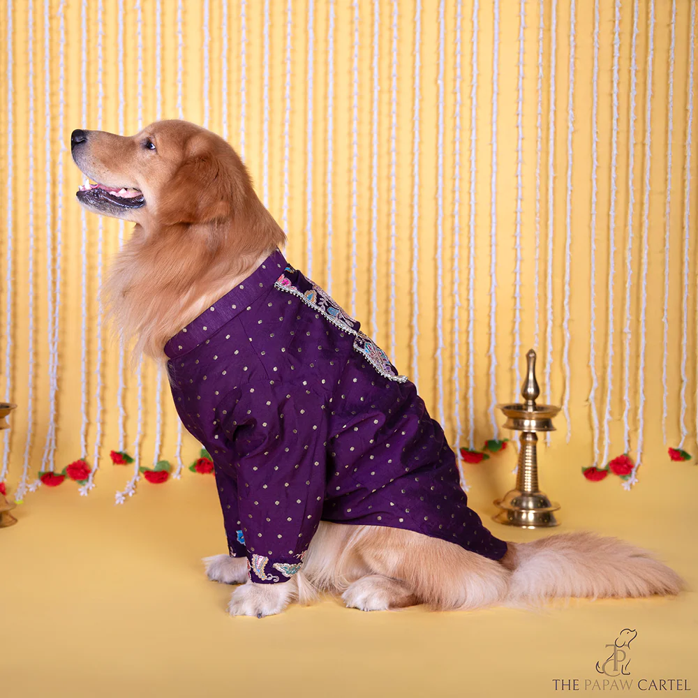The Papaw Cartel  Indian Motif Embroidered Kurta for Dogs & Cats (Purple Paisley) - Image 3