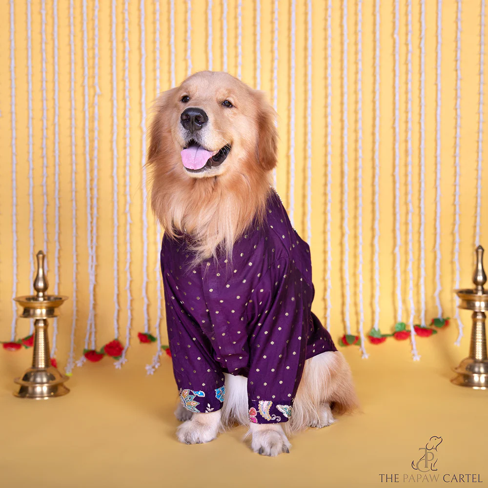 The Papaw Cartel  Indian Motif Embroidered Kurta for Dogs & Cats (Purple Paisley) - Image 4