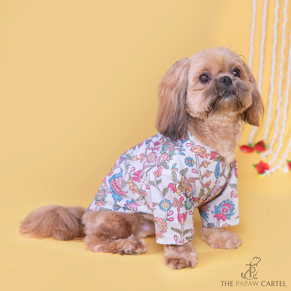The Papaw Cartel Kalamkari Print Classic Kurta with Zari for Dogs & Cats - Image 3