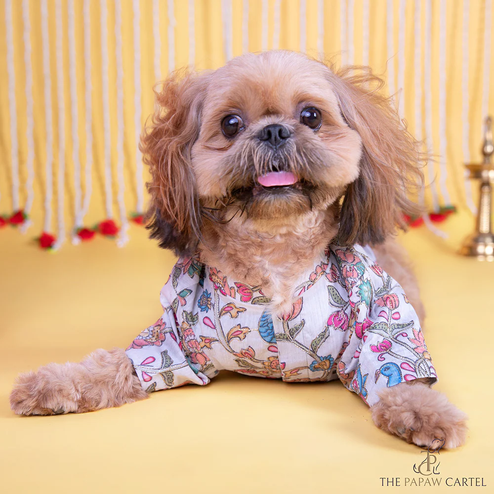 The Papaw Cartel Kalamkari Print Classic Kurta with Zari for Dogs & Cats - Image 4