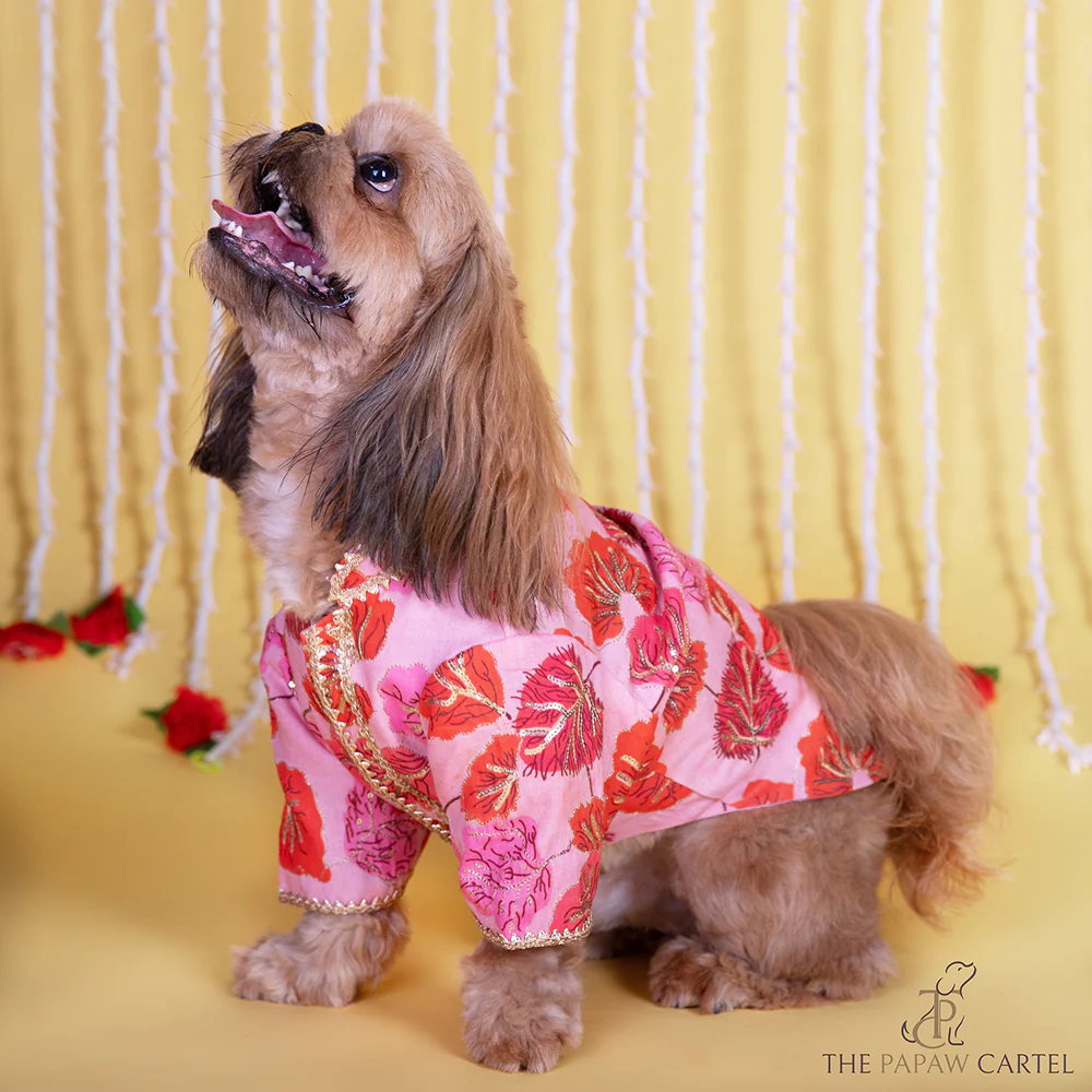 The Papaw Cartel Maple Print Sherwani with Sequins for Dogs & Cats (Pink/Orange) - Image 4