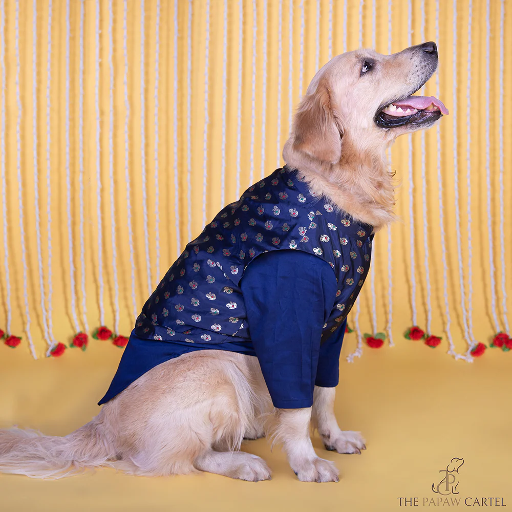 The Papaw Cartel Minakari Butti Traditional Koti Kurta for Dogs & Cats (Midnight Blue)