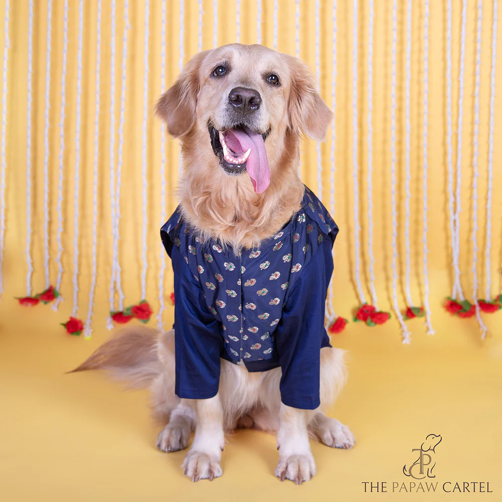 The Papaw Cartel Minakari Butti Traditional Koti Kurta for Dogs & Cats (Midnight Blue) - Image 3