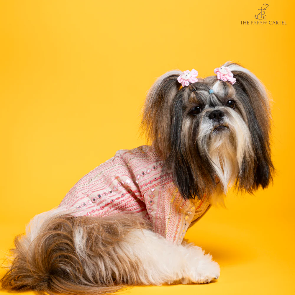The Papaw Cartel Mirrored Sherwani for Dogs (Pink) - Image 4