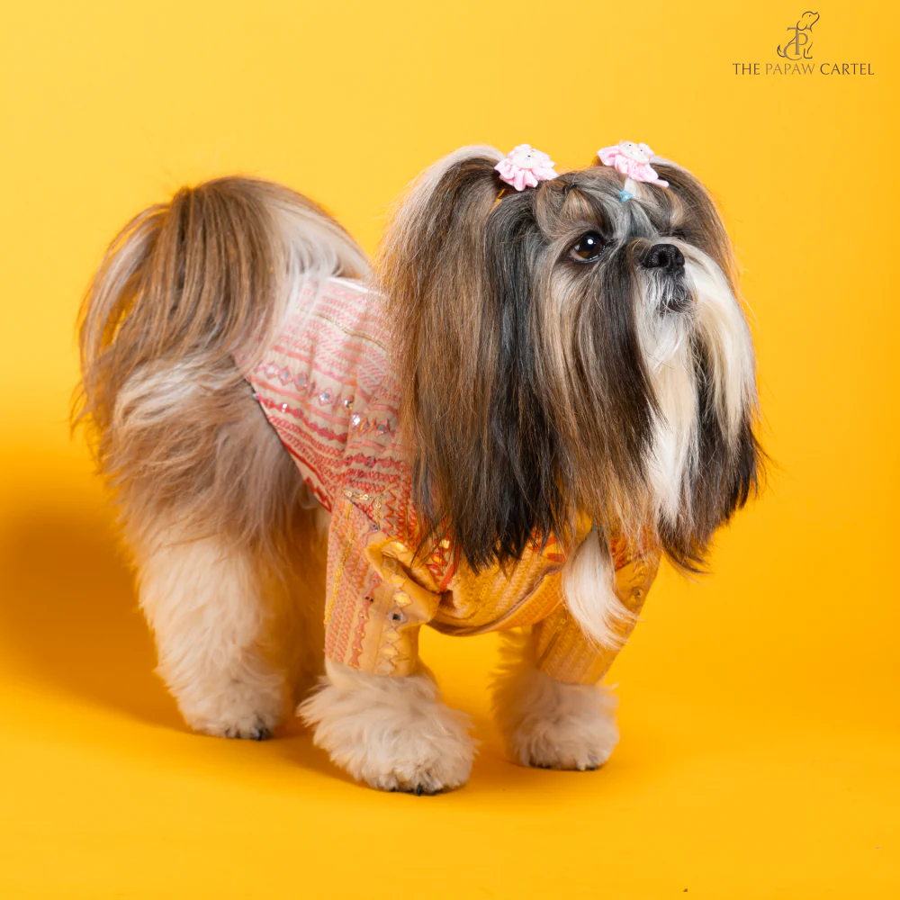 The Papaw Cartel Mirrored Sherwani for Dogs (Pink) - Image 5