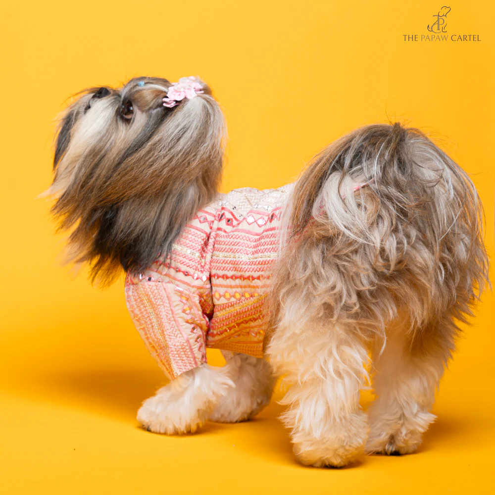 The Papaw Cartel Mirrored Sherwani for Dogs (Pink) - Image 6