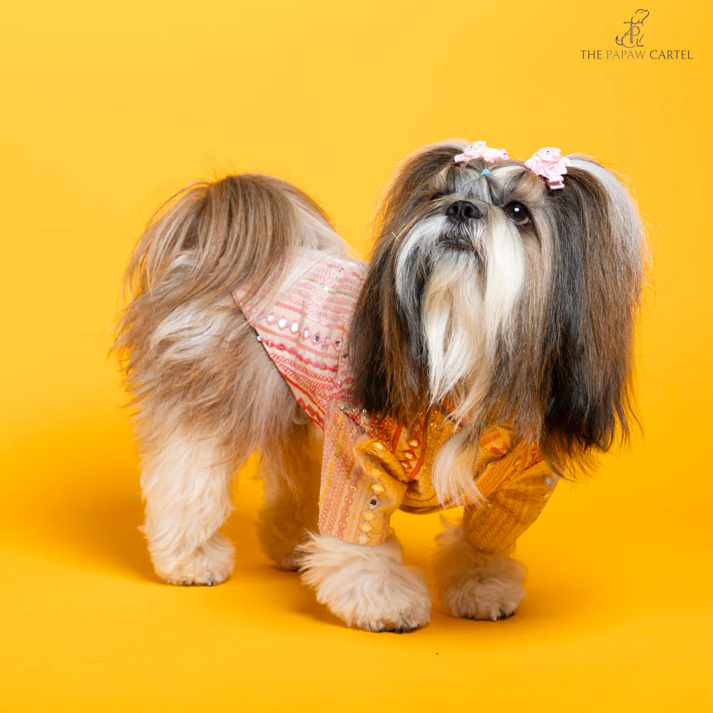 The Papaw Cartel Mirrored Sherwani for Dogs (Pink) - Image 7