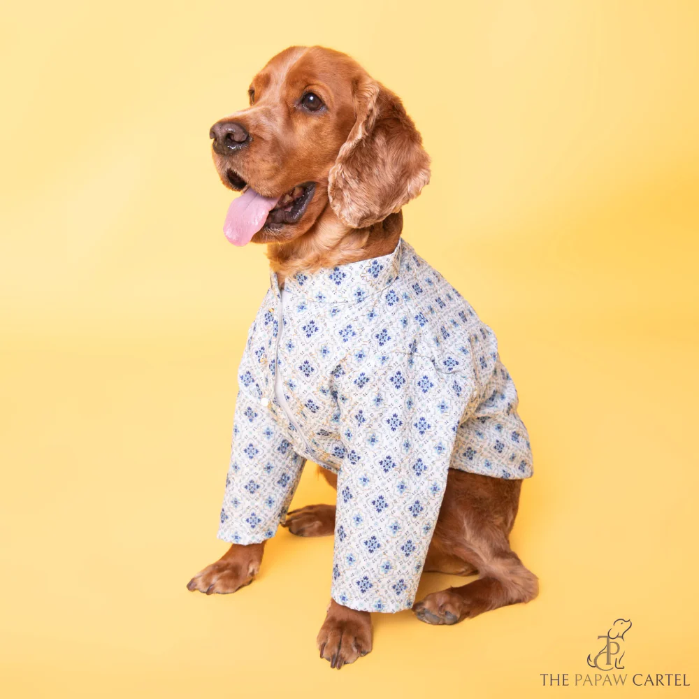 The Papaw Cartel Mosaic Print Sherwani for Dogs (White/Blue) - Image 4