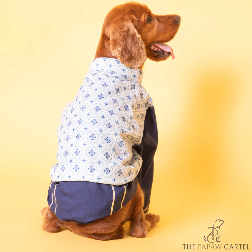 The Papaw Cartel Mosaic Print With Golden Zari Koti And Kurta for Dogs (white/Navy Blue) - Image 4