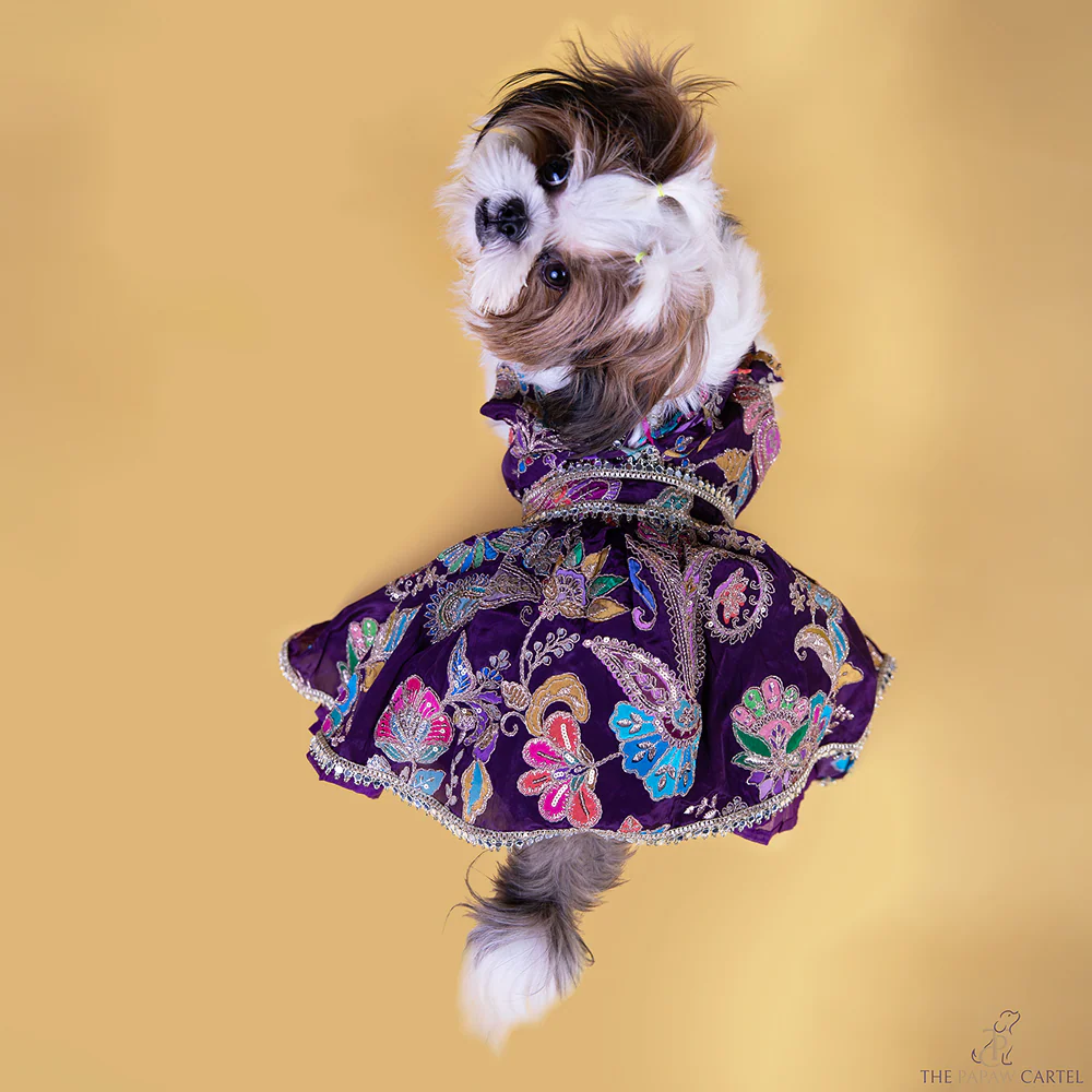 The Papaw Cartel Motif Embroidered Lehenga Choli for Dogs & Cats (Purple Paisley) - Image 3