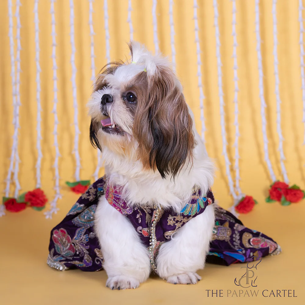 The Papaw Cartel Motif Embroidered Lehenga Choli for Dogs & Cats (Purple Paisley) - Image 4