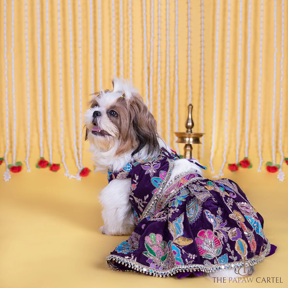 The Papaw Cartel Motif Embroidered Lehenga Choli for Dogs & Cats (Purple Paisley) - Image 5