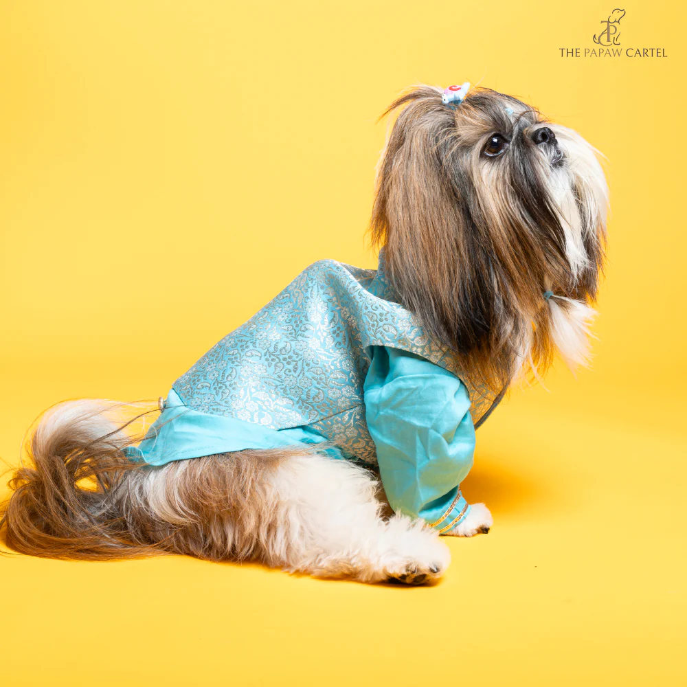 The Papaw Cartel Neemzari Koti Kurta for Dogs (Sky Blue) - Image 3