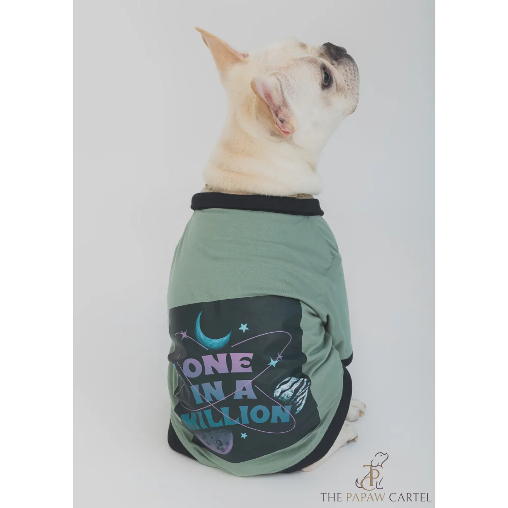 The Papaw Cartel One In A Million Polo Tshirt for Dogs (Sage Green)