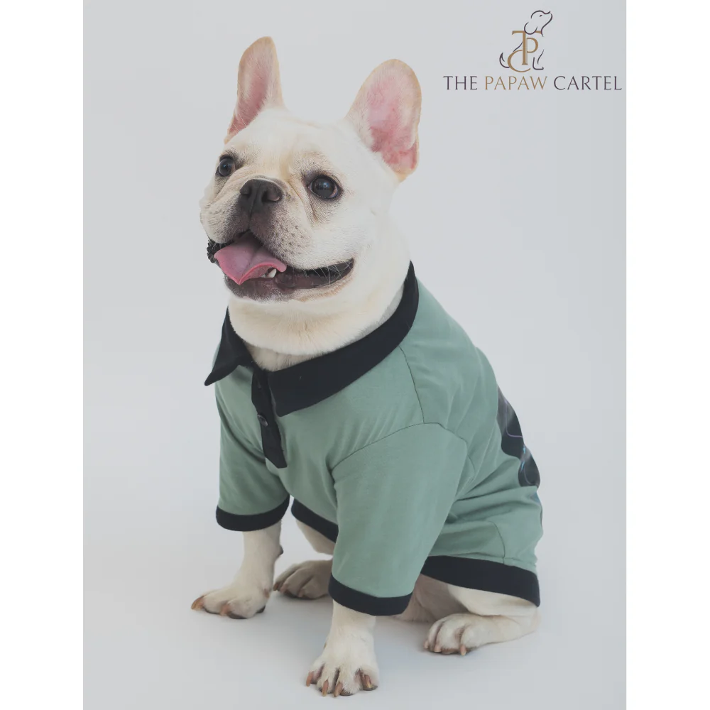 The Papaw Cartel One In A Million Polo Tshirt for Dogs (Sage Green) - Image 10