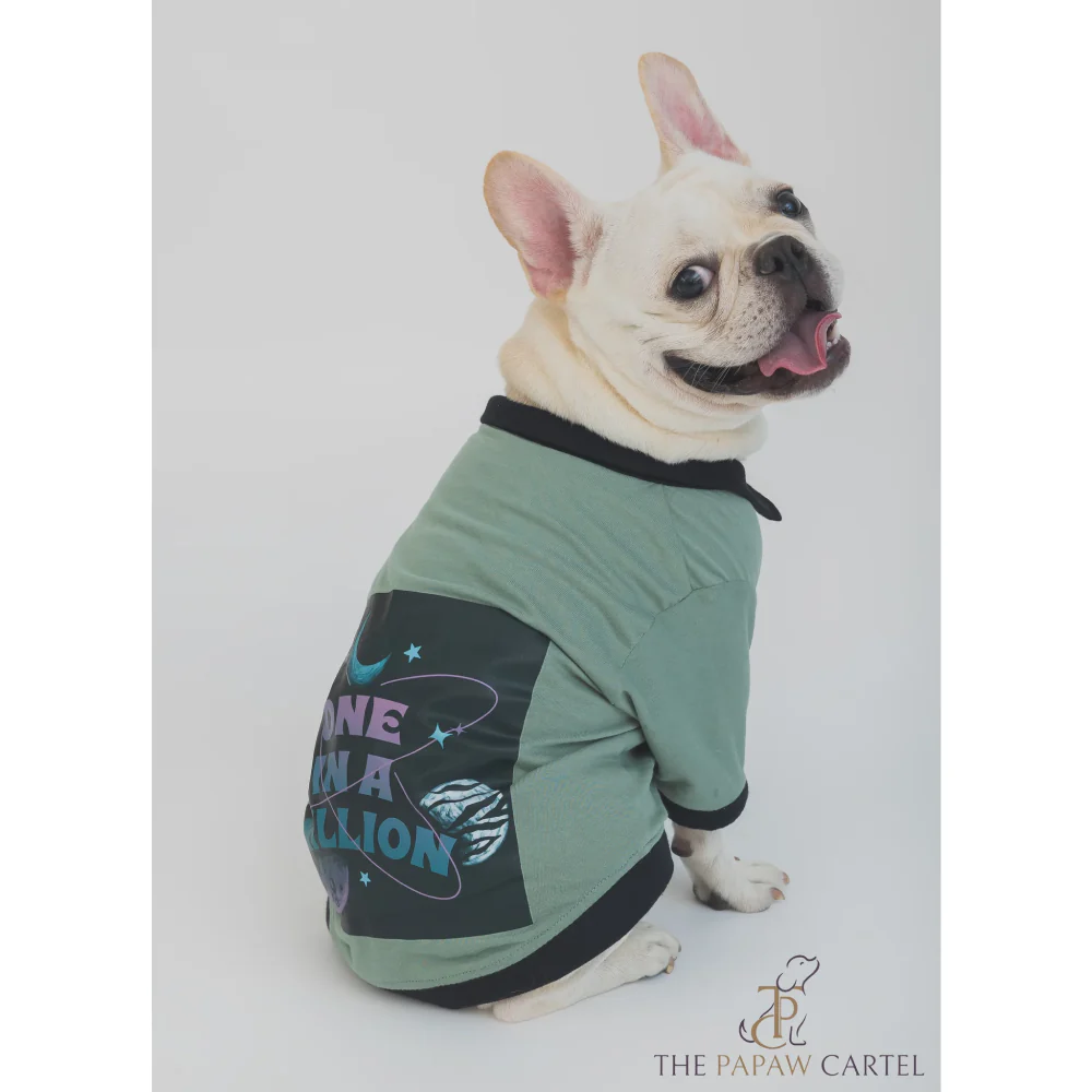 The Papaw Cartel One In A Million Polo Tshirt for Dogs (Sage Green) - Image 3
