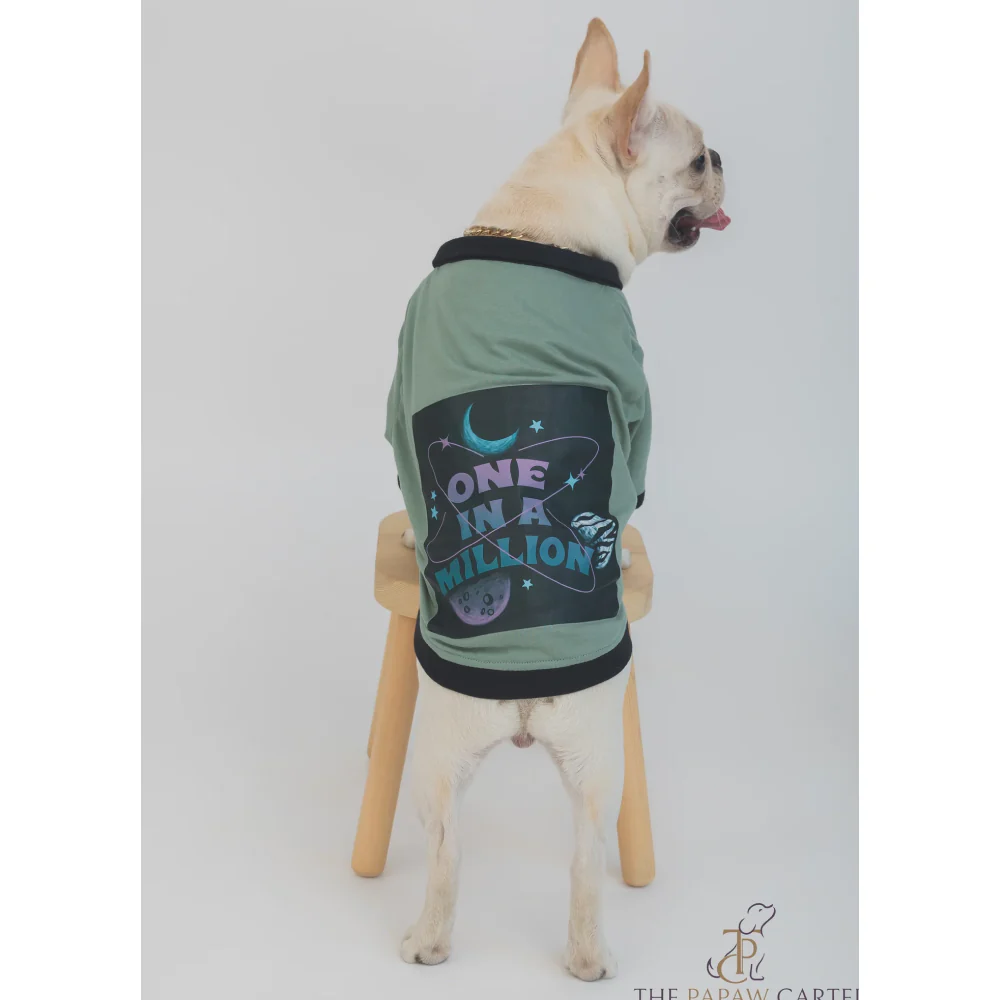 The Papaw Cartel One In A Million Polo Tshirt for Dogs (Sage Green) - Image 6