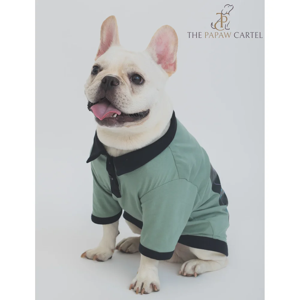 The Papaw Cartel One In A Million Polo Tshirt for Dogs (Sage Green) - Image 7